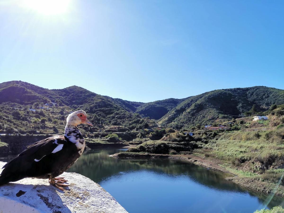 Casa Rural Leo: Remanso De Paz Y Tranquilidad Agulo エクステリア 写真